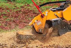 Best Lawn Disease Treatment  in Marist College, NY